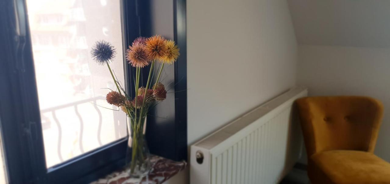 Les Rosiers De Panne